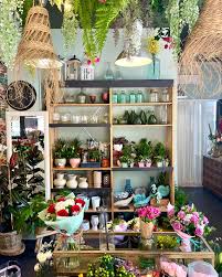 Florisima Flores Y Plantas