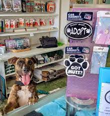 Croix animal welfare center is a 501(c)(3) nonprofit organization, operating on the island of st. Welcome To The Pet Place How Can I St Croix Animal Welfare Center Facebook