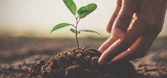 Geleceğe nefes ol kampanyası bir süre önce 11 milyon ağaç, bugün fidan yarın nefes! sloganıyla geleceğe nefes ol fidan dikme kampanyasına nasıl başvuru yapılır sorusu bu kapsamda merakla. Gelecege Nefes Ol Kampanyasi Nedir Gelecege Nefes Ol Kampanyasina Nasil Katilinir