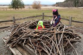 Females are 30% heavier than males and have a a: How Big Are Bald Eagle Nests Naturally North Idaho