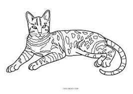 Incredible cat coloring page to print and color for free : Free Printable Cat Coloring Pages For Kids