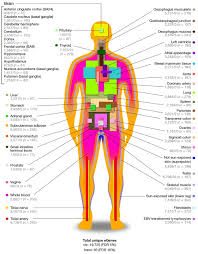 Welcome to innerbody.com, a free educational resource for learning about human anatomy and physiology. Gene Expression Map Of Human Body Gives Value To Variants Alzforum