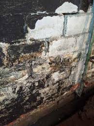 Basement systems dealers in new york offer basement waterproofing systems providing expert service in entire state of ny. Frank S Basement Systems Basement Waterproofing Photo Album Basement Waterproofing In Buffalo Ny