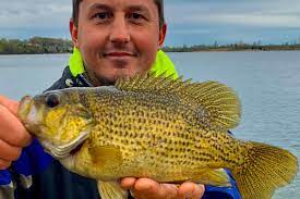 Bassists are often overlooked and undervalued, even within their own bands. Jonny Pitelka Caught And Released Another State Record Quality Fish Comes From Three Oaks Recreation Chicago Sun Times