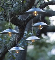 Pin On Gardening