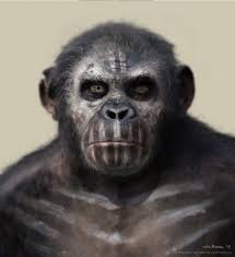 Planet der affen die letzte front planet of the apes: 220 Caesar Rules Ideas In 2021 Planet Of The Apes Dawn Of The Planet Apes