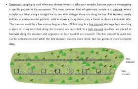 Systematic Sampling With Quadrats Along A Transect