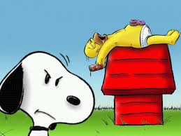 Snoopy Cartoon Wallpaper Homer Simpson Cartoon Art