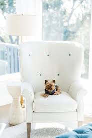 White Wingback Chair With Blue Button Tufting Transitional Living Room
