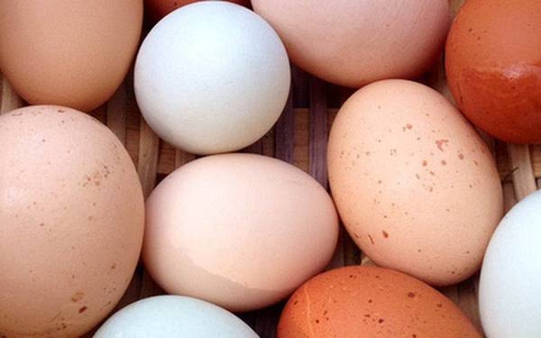 Trong thế giới trứng gà, nên mua loại nào tốt nhất: Không phải đắt tiền,  đây mới là tiêu chí số 1