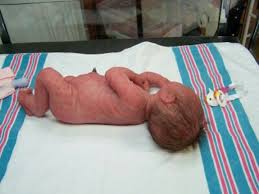 Birds And Bees Nursery Website Full Silicone Body Reborn With Images Baby Dolls For Sale Silicone Baby Dolls Newborn Baby Dolls