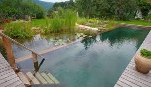 May 11, 2018 · you can build your own all natural swimming pond and share it with nature. 17 Natural Swimming Pools You Wish Were In Your Backyard