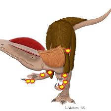 Image result for Dinophora