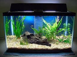 Is it possible that you are currently imagining about aquarium for home decoration. Aquarium Tank Set Up Unique Fish Tanks Fish Tank Decorations Cool Fish Tank Decorations