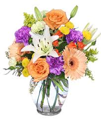 In memory of helen smith), 515 nw 6th terrace, ocala, fl 34475. Occasions Blue Creek Florist Ocala Sympathy Funeral Anniversary Birthday Flowers