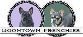Boontown Frenchies | The Ultimate Frenchie Guide
