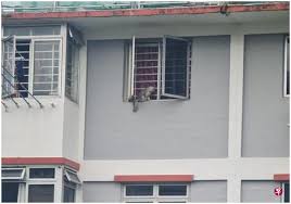 Powerball results usually appear no later than 21:15. G8bba0fqnsq2zm