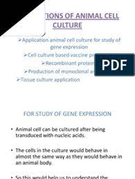 Maybe you would like to learn more about one of these? Applications Of Animal Cell Culture Monoclonal Antibody Cell Culture