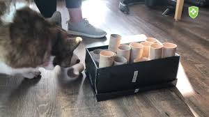 You get the chance to take a more personalized approach to providing the food that your friend and pet gets to eat every day. Diy Food Puzzles For Dogs Cheap Buy Online