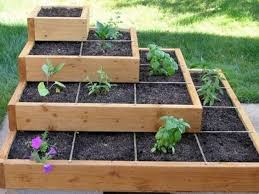 33 Raised Garden Bed Ideas Diy Garden Beds Garden Bed Edging