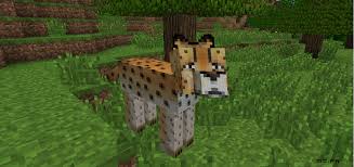 Comment configurer le programme d'installation de forge mod. Minecraft Comment Installer Des Mods Harbolnas K
