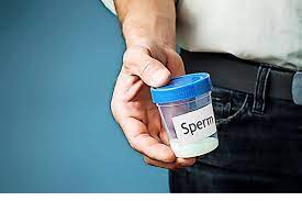 Spermien So Lasst Sich Die Qualitat Steigern