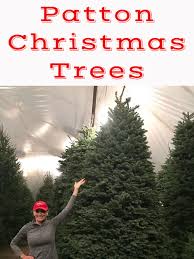 Maybe you would like to learn more about one of these? Patton Christmas Trees For Sale Delivery Dallas Tx