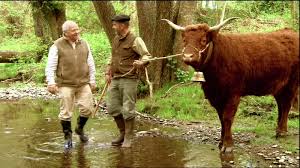 Ferme de renouville d116 vicq sur mer prix : Dimanche A La Ferme Documentaire 2014 Tele Star