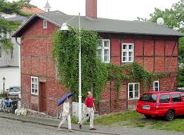 I read that clematis montana wilsonii is suitable for any location. Clematis Montana A Clematis For Facade Greening