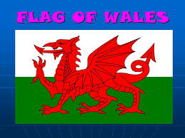They were to be used later by henry tudor as the field for the red dragon, and they remain to this day the colours of the national flag, upon which the red dragon is set. Flag Of Wales Emblem Of Wales Wales The Flag Of Wales Incorporates The Red Dragon Prince Cadwalader Along With The Tudor Colours Of Green And White Ppt Download