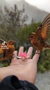 Image result for tbn:mrSzUDrNv1ytdM::www.ibnalislam.com/up/uploads/e313361279.gif