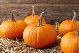 Oswego To Give Out 500 Free Pumpkins To Residents Chicago Tribune