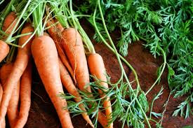 Image result for garden carrots