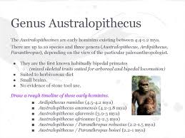 Afarensis, named after the afar region. Evolution Anthropogensis Prezentaciya Onlajn