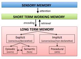 Image result for type of memory