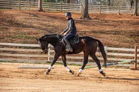 Thoroughbred Logic: Finding the Flow