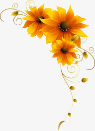 Sunflower Yellow Flower Pattern Sunflower Art Flower Painting Flower Art