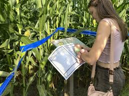 Guide to Great Scott Farms 2023: Best Corn Maze in Central Florida