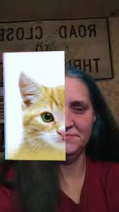 Stephanie Lemmon (@stephanielemmon8)