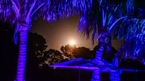 SpaceX Launch View from Palm Beach