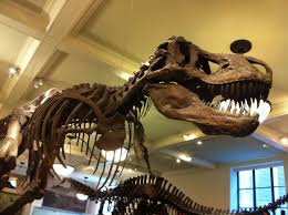 Pin By Whomst On Cinema Night At The Museum New Scooby Doo Museum