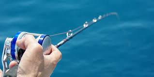 Comment Pecher Le Barracuda En Mer Mediterranee