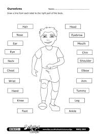 Parts Of The Body Worksheet Learningenglish Esl Teaching English Kids English English Lessons