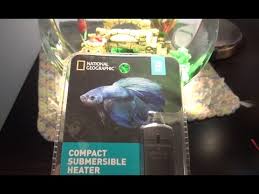 National Geographic 10w Aquarium Heater Unboxing And Installation Youtube