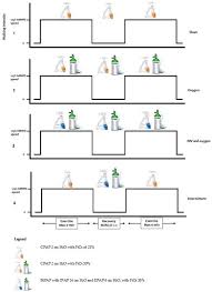 Jcm Free Full Text Effects Of Non Invasive Ventilation