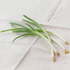 How To Use Every Part Of Scallions And Green Onions With Images Green Onions Cooking Basics Cooking Lobster Tails