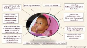 Wenn sie ihr baby auf feste nahrung umstellen, dann sollten sie ihm bestimmte nahrungsmittel noch nicht sofort geben. Beikost Vollwertigebabynahrung De Leckere Hausgemachte Babynahrung