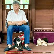 Pusat peliharaan kucing terbiar kg kota. Sultan Selangor Tengku Permaisuri Titah Jangan Abai Haiwan Terbiar