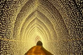 The first recorded 'candy stick' comes from 1837 at an exhibition in massachusetts in the usa. Garden Light Shows Are Giving This Christmas Extra Sparkle And My Goodness We Need It Duk News