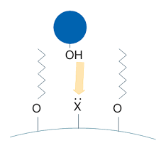 Materials | Free Full-Text | Stationary Phases For Green Liquid  Chromatography